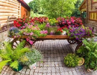 *Царьград курорт-отель