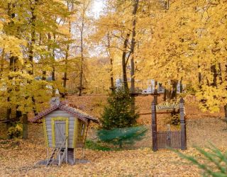 *Царьград курорт-отель