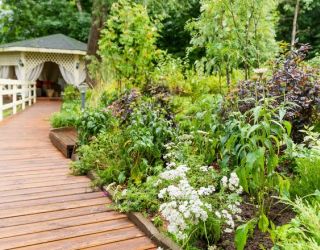 *Царьград курорт-отель