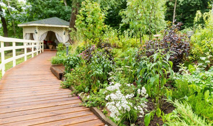 *Царьград курорт-отель